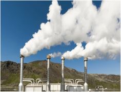 Environmental Compensation on Thermal Power Plants for Biomass Norm Violations